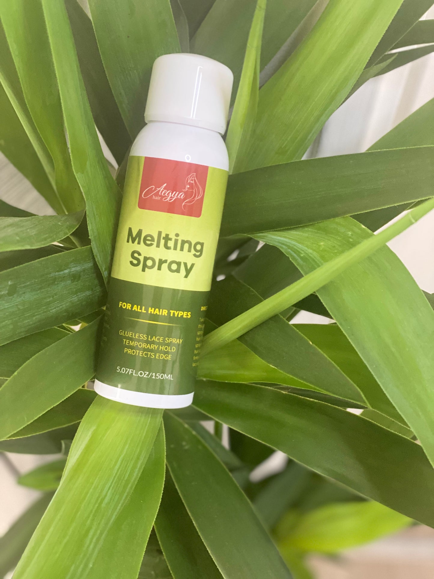 Melting spray ou pulvérisateur fondant